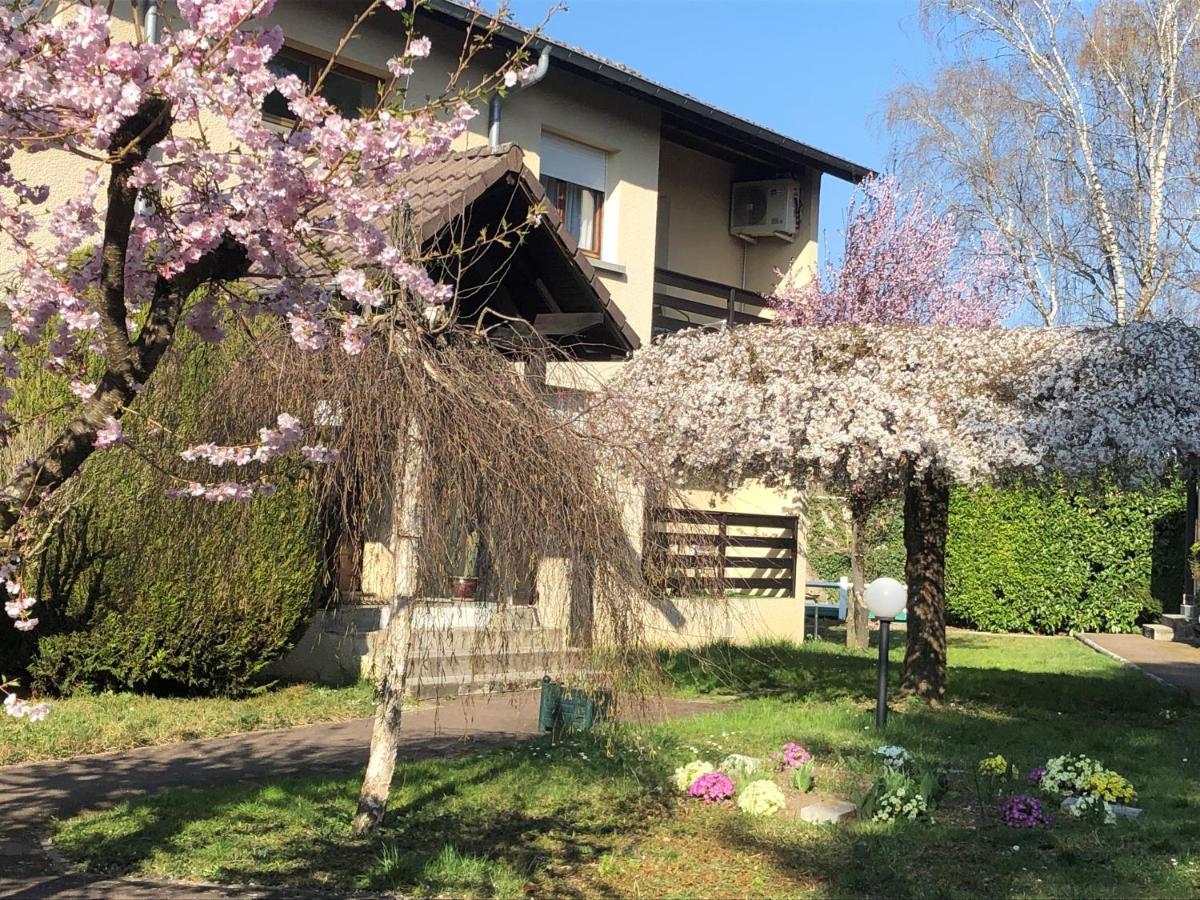 Les Tilleuls Montbeliard Sud Audincourt Exteriör bild